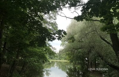 Усадьба Пушкина в Болдино: открытие, которое изменило мое лето